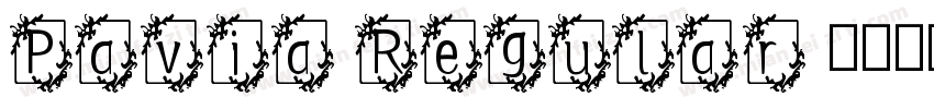 Pavia Regular 语言英文字体转换